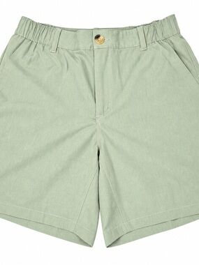 dk active Men's Light Sage Green Athletic Shorts